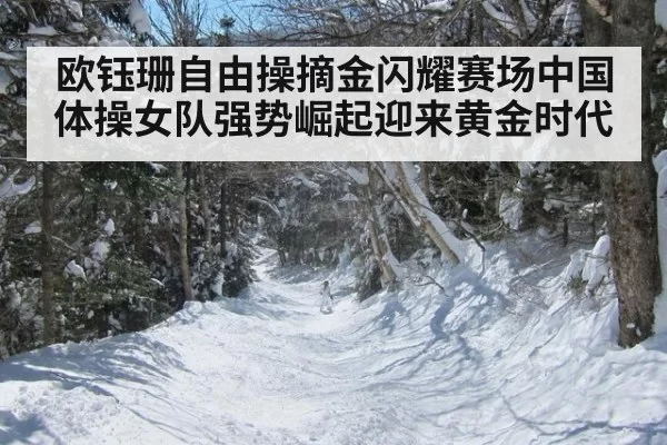 欧钰珊自由操摘金闪耀赛场中国体操女队强势崛起迎来黄金时代